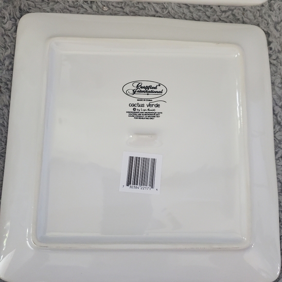 Cactus Verde Set of 4 Square 8.5" Ceramic Salad/Dessert Plates – Assorted Waterc - Picture 9 of 9